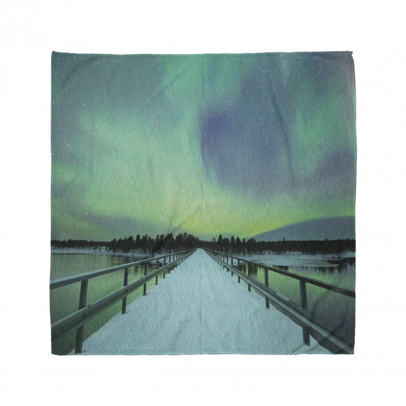 Bridge Snowy Arctic Bandana