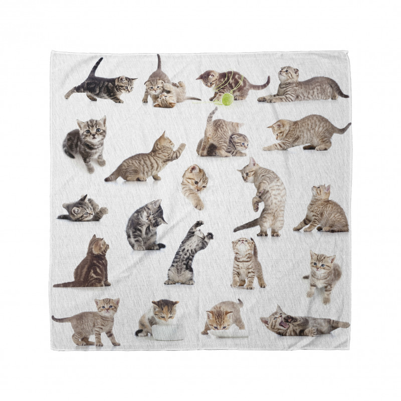 Funny Playful Cats Image Bandana