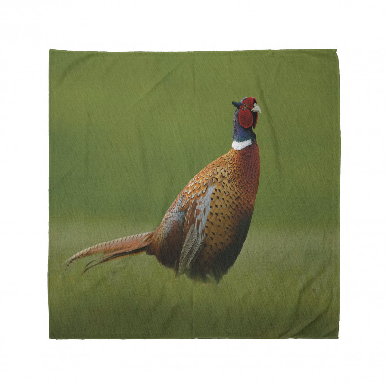 Pheasant Long Tail Meadow Bandana