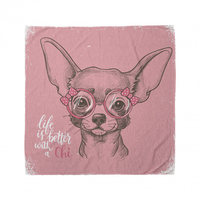 Chihuahua Bandana Pembe Gözlüklü Köpek