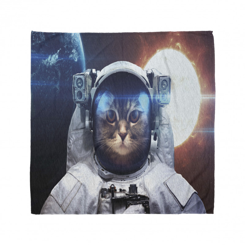 Kitty in Galaxy Dust Bandana