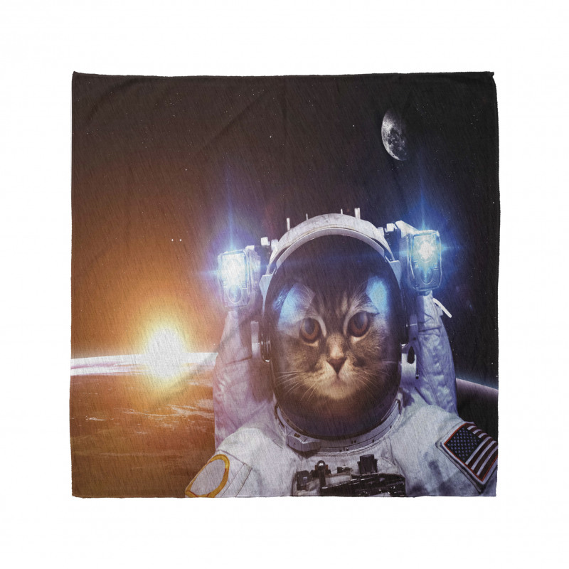 Uzay Bandana Amerikalı Astronot Kedi