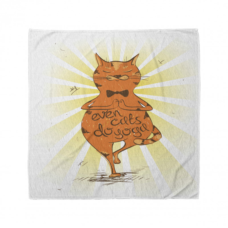 Hayvan Deseni Bandana Yoga Yapan Kedi