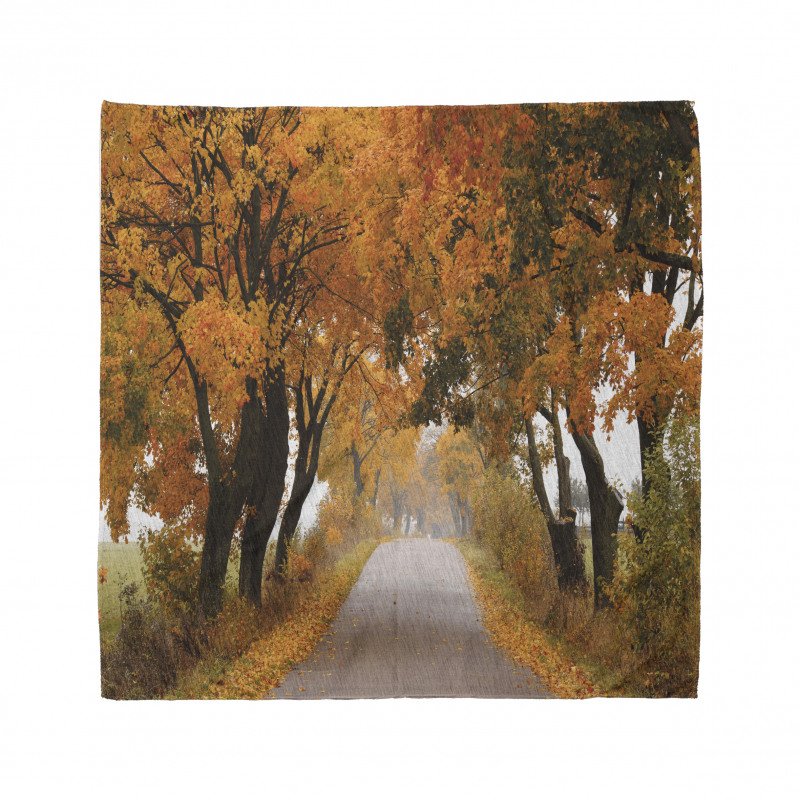 Serene Vivid Maple Trees Bandana