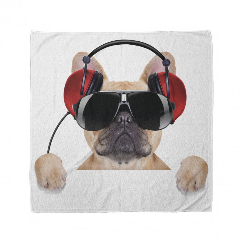 Müzik Bandana Güneş Gözlüklü Köpek