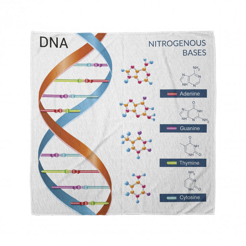 Öğretici Bandana Turuncu Mavi DNA