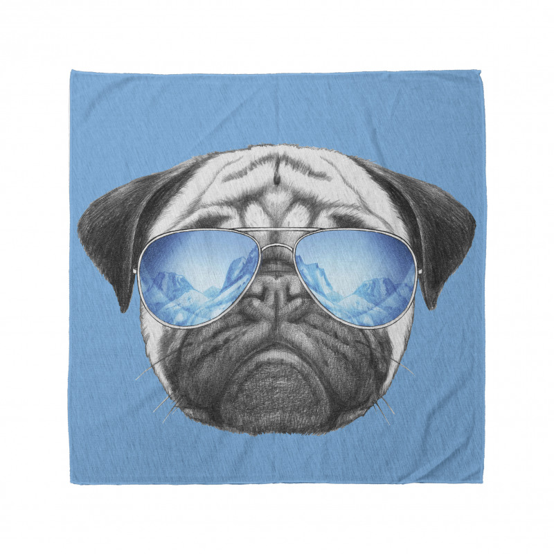 Hayvan Bandana Aynalı Güneş Gözlüklü Şirin Pug Köpek Portre