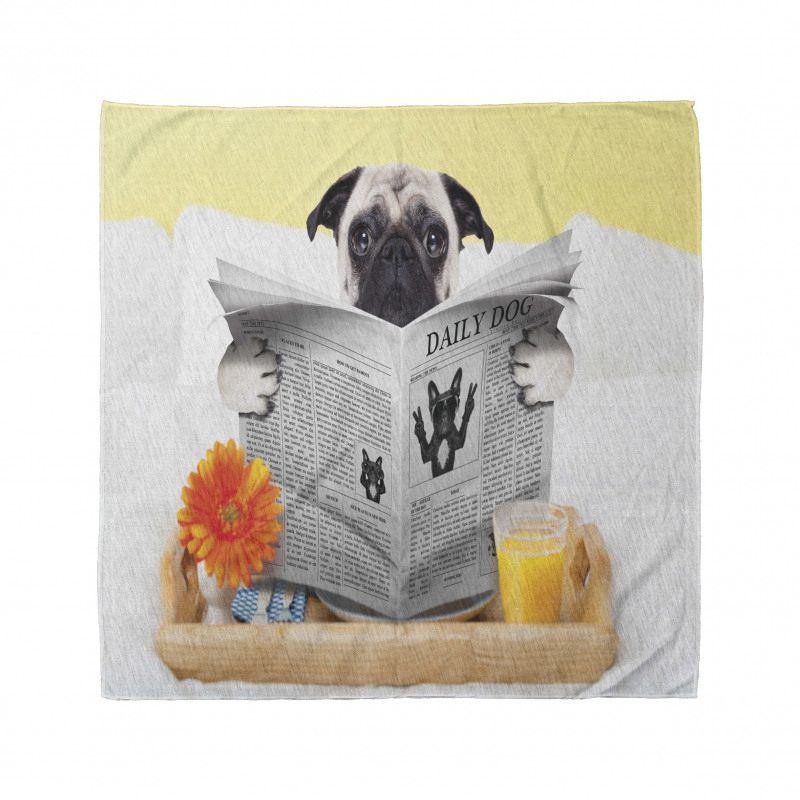 Pug Köpek Bandana Kahvaltısını Eden Küçük Sevimli Hayvan 