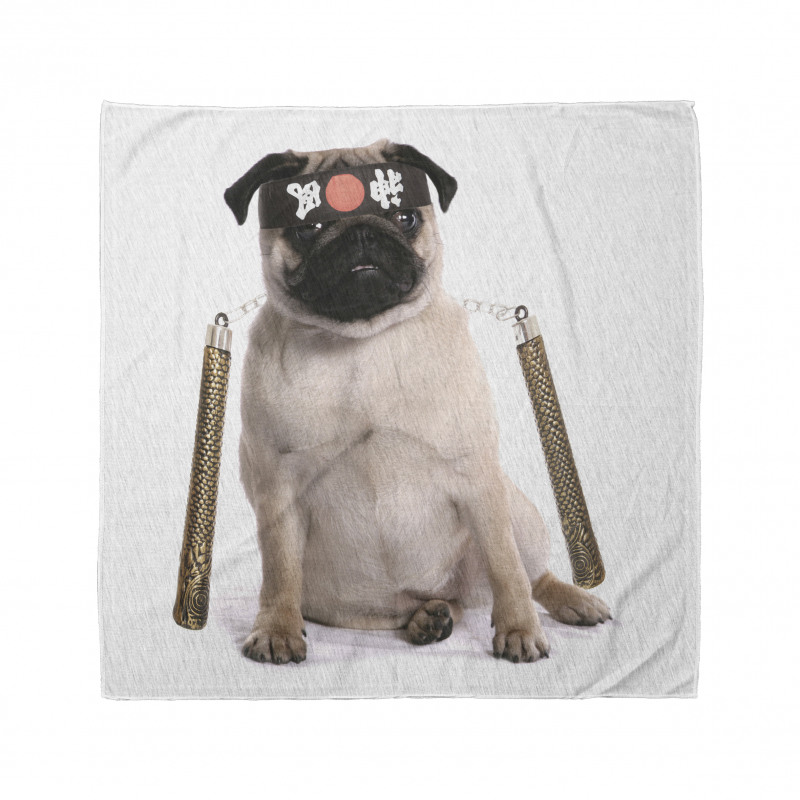 Pug Köpek Bandana Ninja Karate Kostümlü Hayvan Görseli