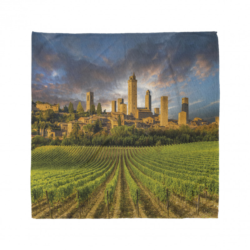 San Gimignano Vineyards Bandana