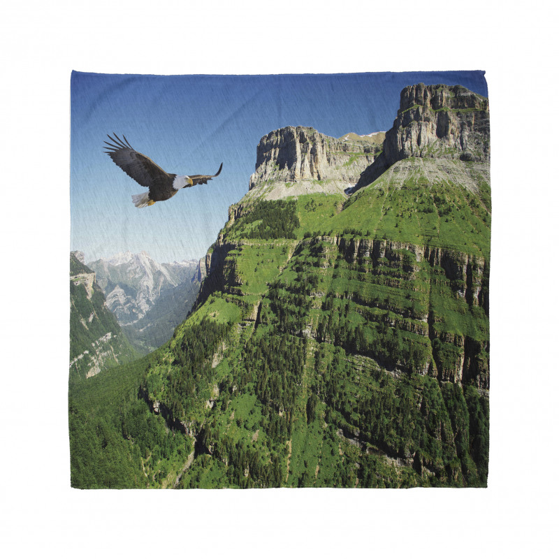 Bird Mountain Fly Bandana