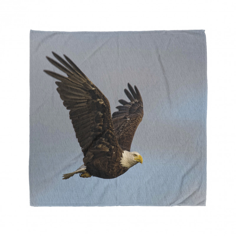 Hunter Bird in Open Sky Bandana