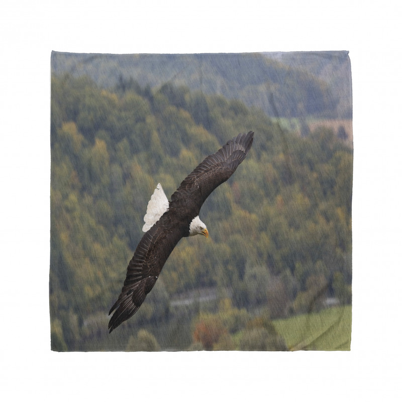 King of Skies Fly Forest Bandana