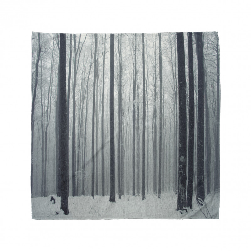 Foggy Mysterious Woods Bandana