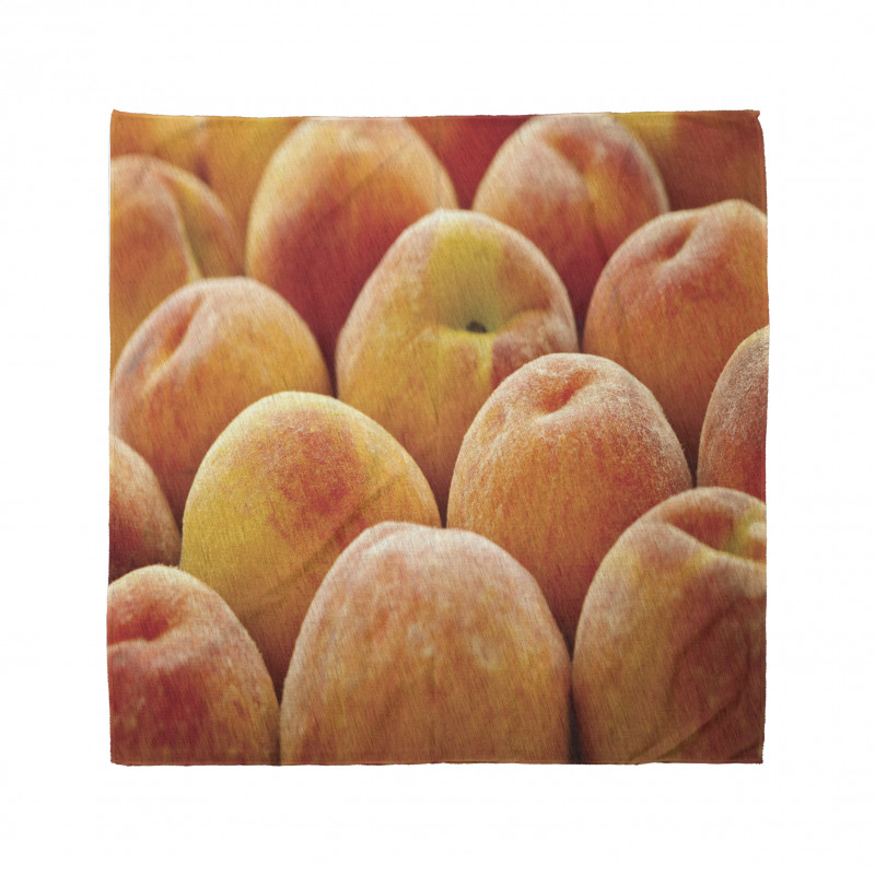 Nutritious Fruit Photo Bandana