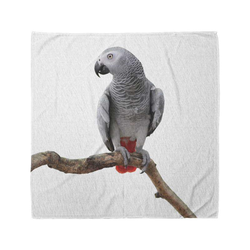 Parrot on a Branch Bandana