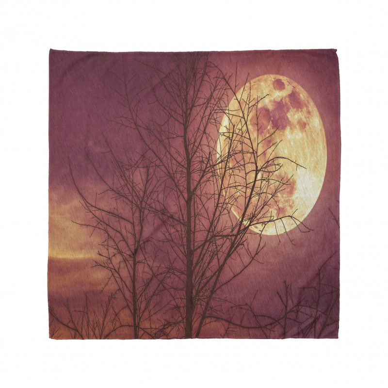 Moon Sky Dead Tree Bandana