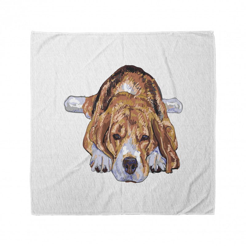 Old Dog Resting Sketch Bandana