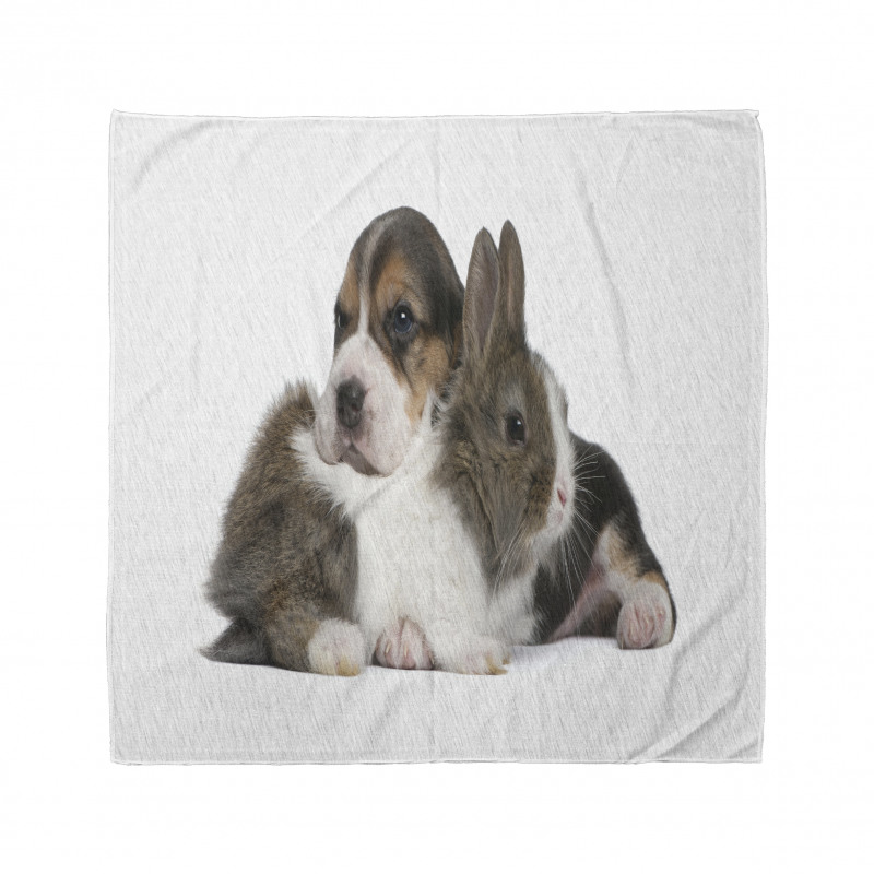 Rabbit Puppy Pet Friends Bandana