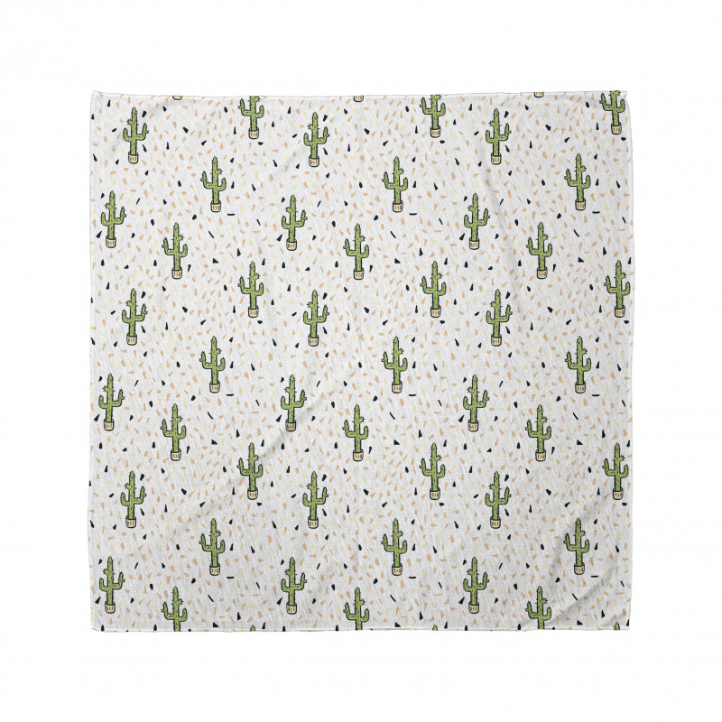 Cactus Plants in Pots Bandana