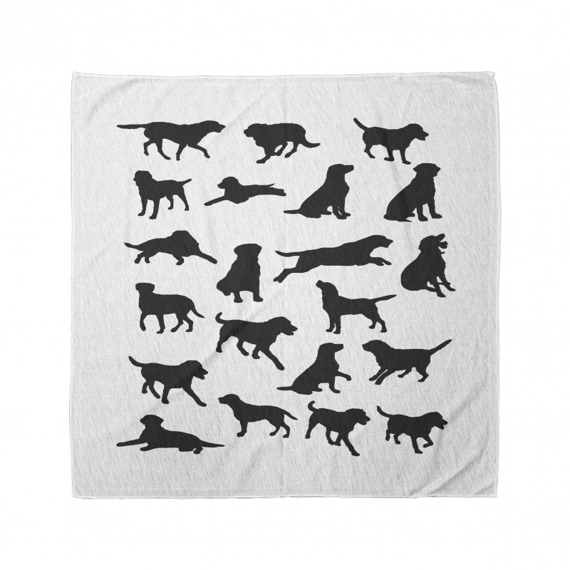 Various Positions Bandana