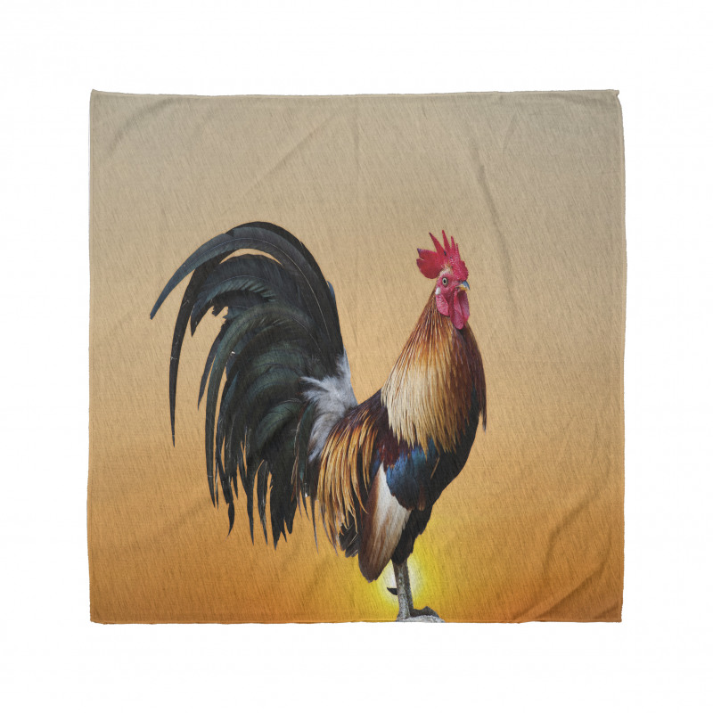 Farm Animal Sunrise Bandana