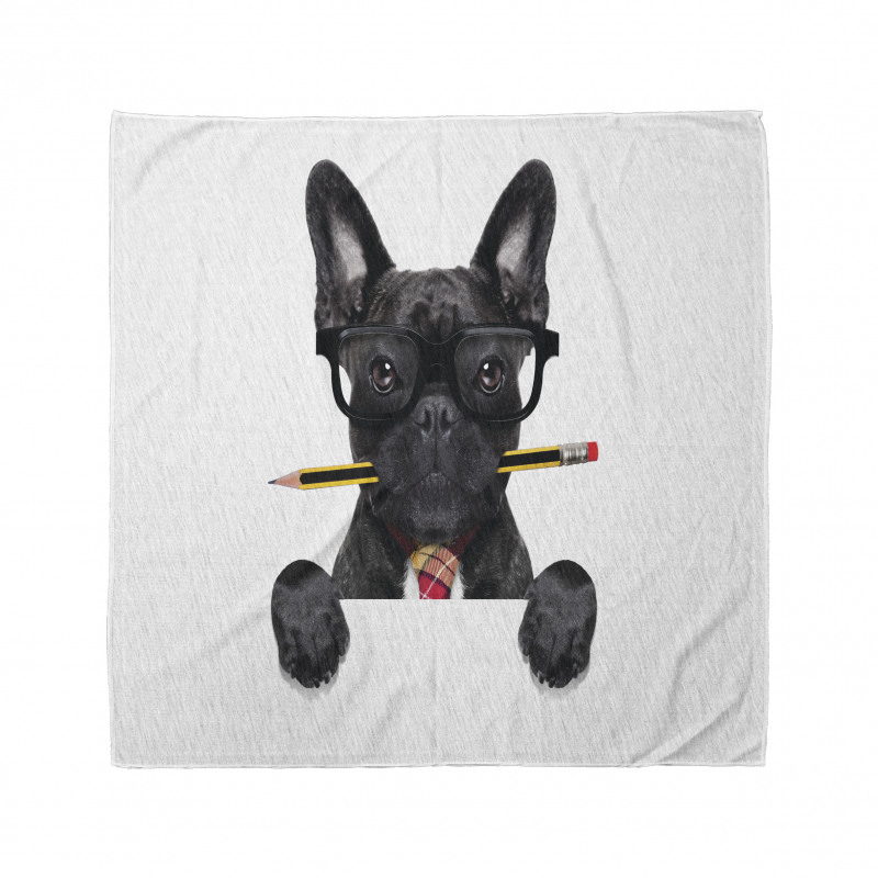 Köpek Bandana Ağzında Kurşun Kalem Tutan French Bulldog