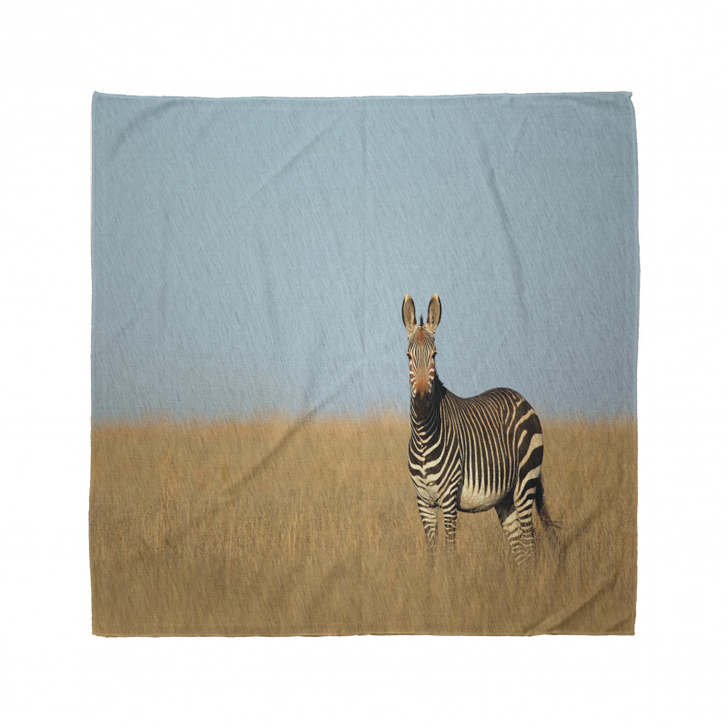 Zebra Bandana Çizgili Afrika Savan İklim Hayvanı Safari