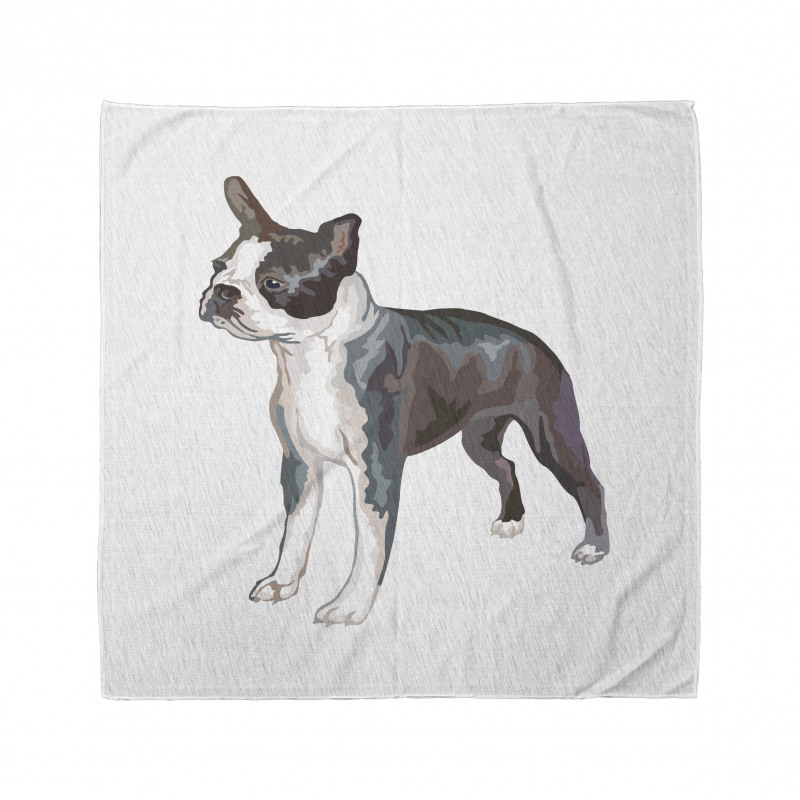 Köpek Bandana Boston Terrier Türü Havlayan Hayvan Figür