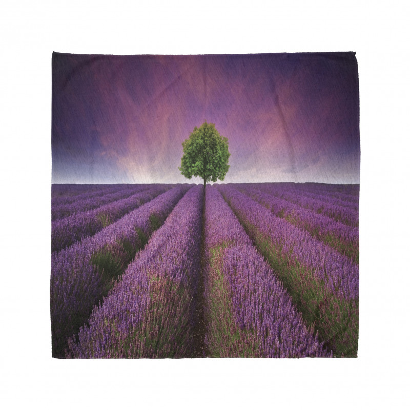 Lavender Fields and Tree Bandana