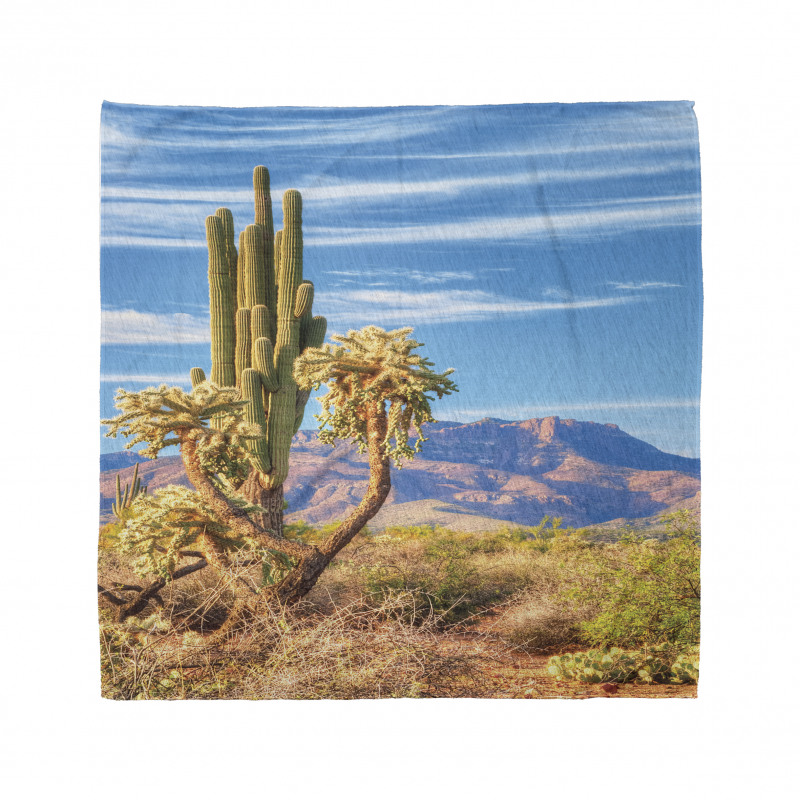 Landscape and Prickle Plant Bandana