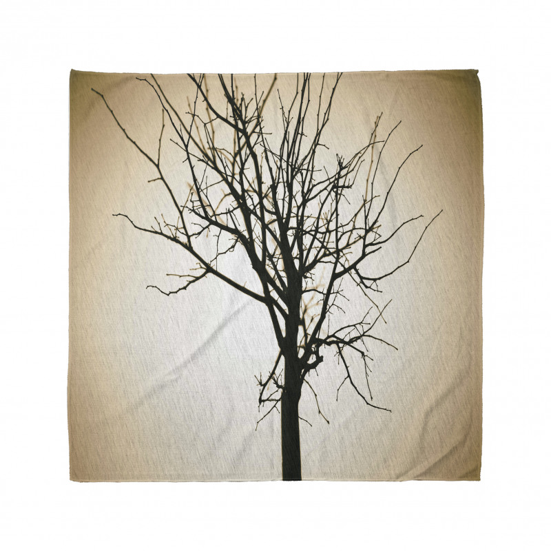 Barren Tree on Ombre Bandana