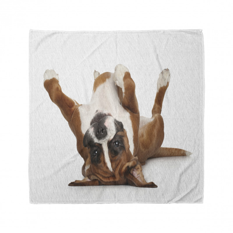 Funny Playful Puppy Image Bandana