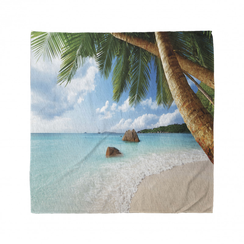 Exotic Palm Tree Ocean Bandana