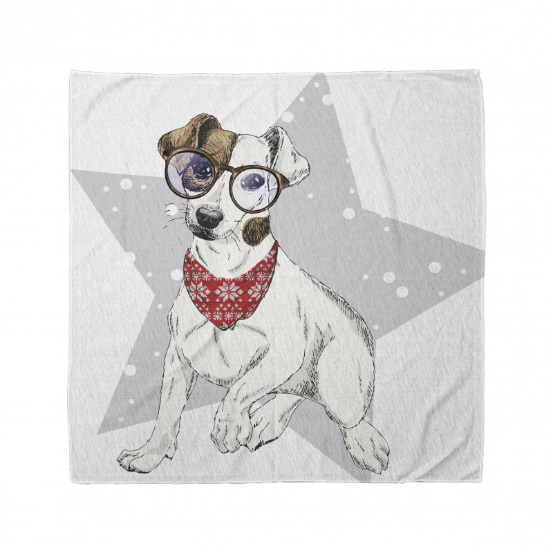 Komik Bandana Hollywood Yıldızı ile Şal ve Gözlüklü Köpek