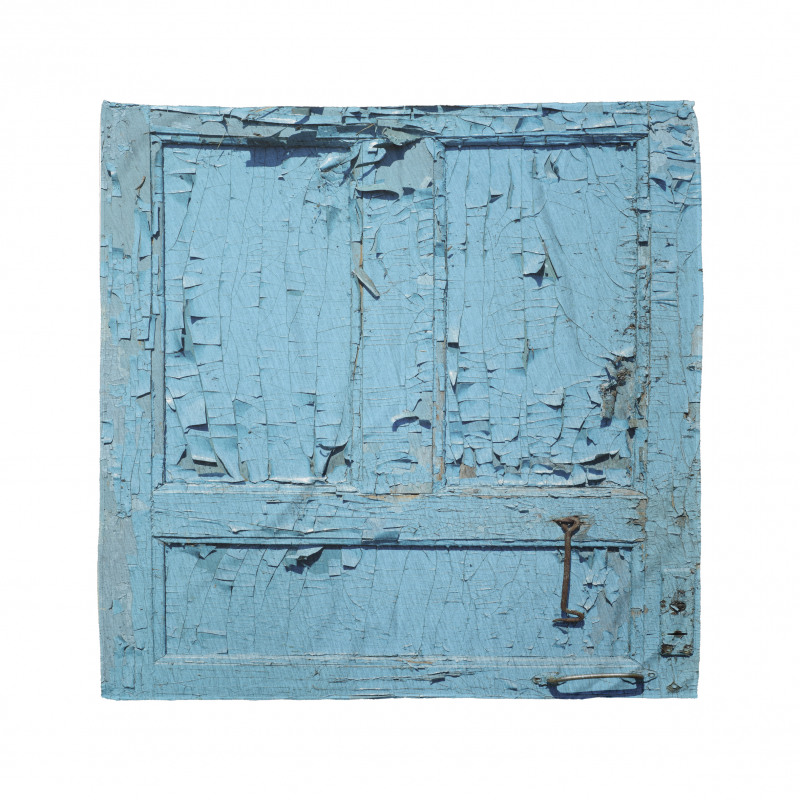 Cracked Old Painted Door Bandana