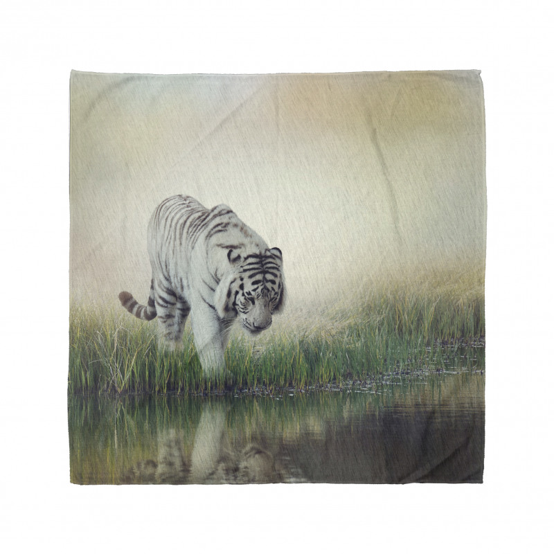 Albino Tiger Near a River Bandana