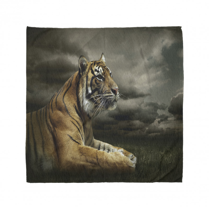 Jungle African Cat Clouds Bandana