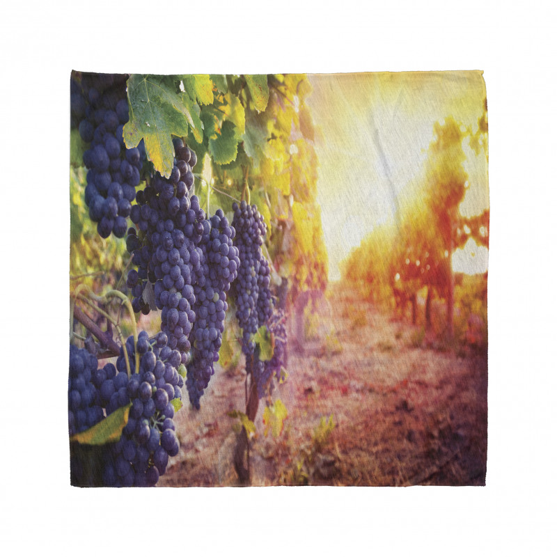 Grape in Countryside Vineyard Bandana