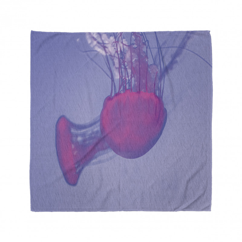 Sea Creature Beauty Float Bandana