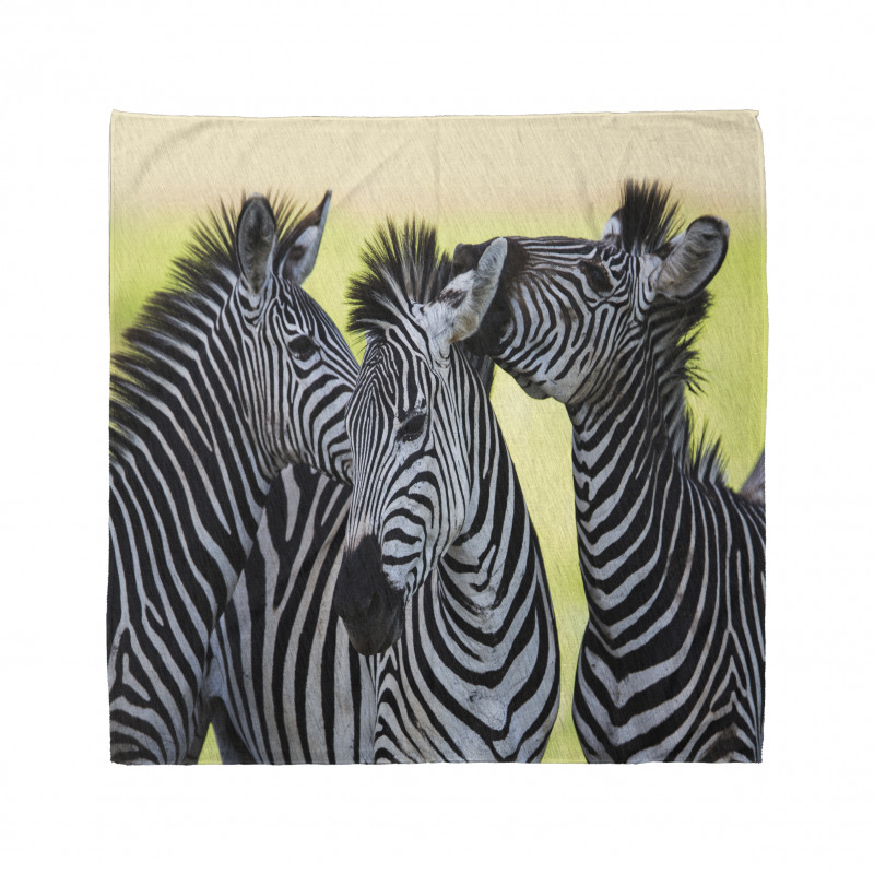 Zebras Wild Nature Bandana