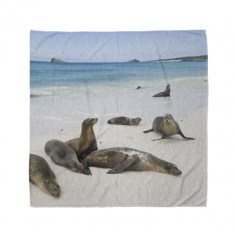 Galapagos Island Sea Lions Bandana