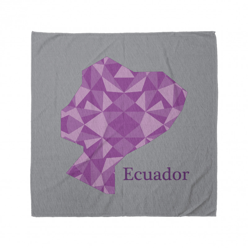 Polygonal Cartography Print Bandana