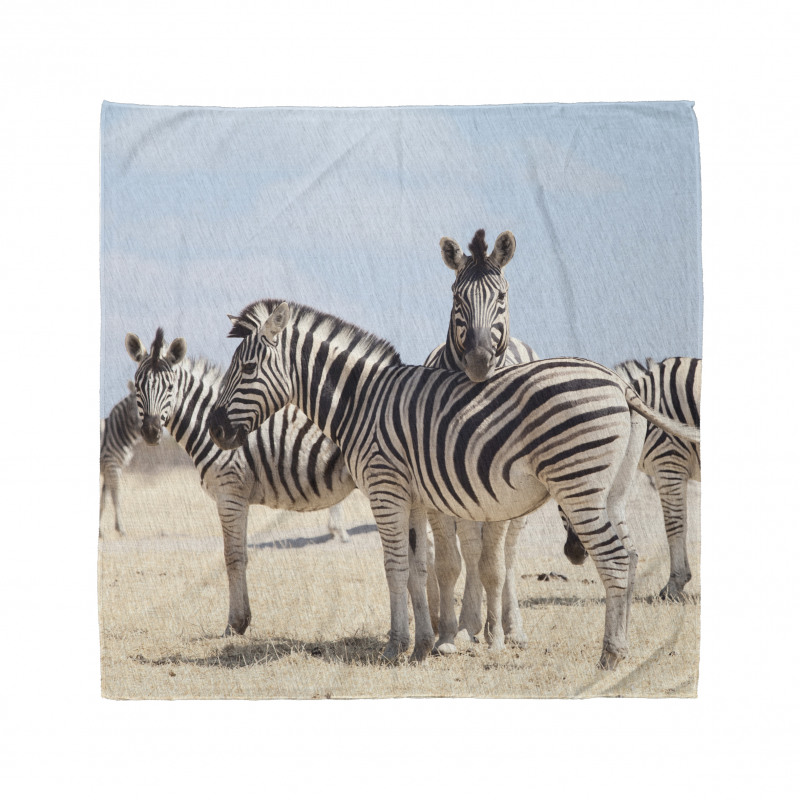 Hayvan Deseni Bandana Zebra Sürüleri