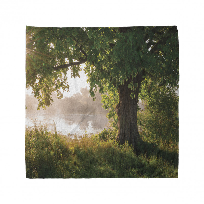 Stream Mystic Foggy Scene Bandana