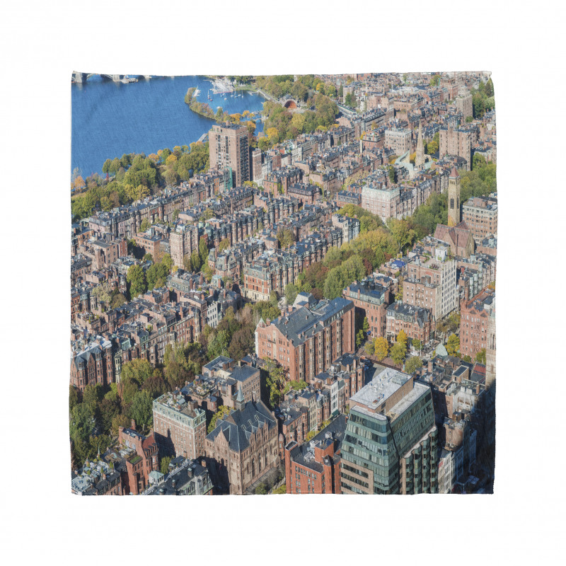 Aerial View of Buildings Bandana