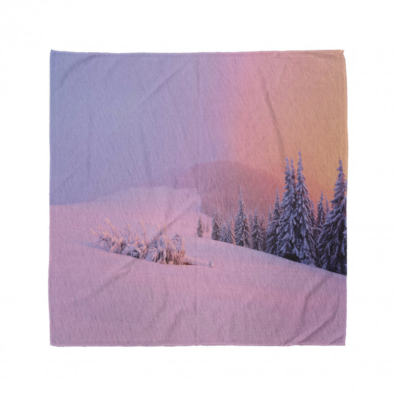 Winter Scenery Bandana