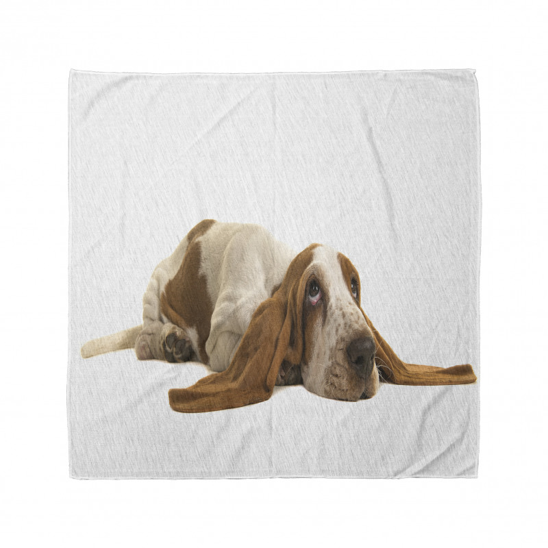 Long Eared Dog Bandana