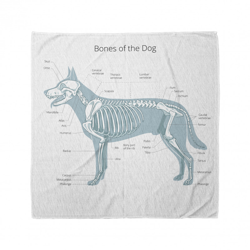 Bones of the Dog Table Bandana