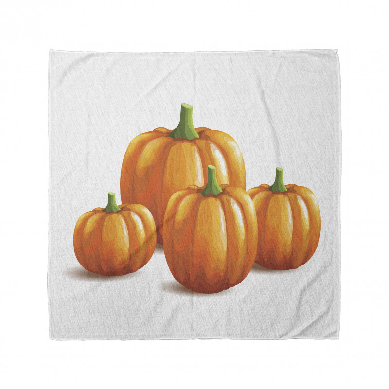 Fall Season Fruits Bandana